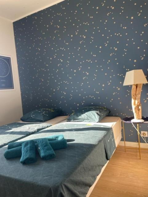 Superbe En Centre Apartment